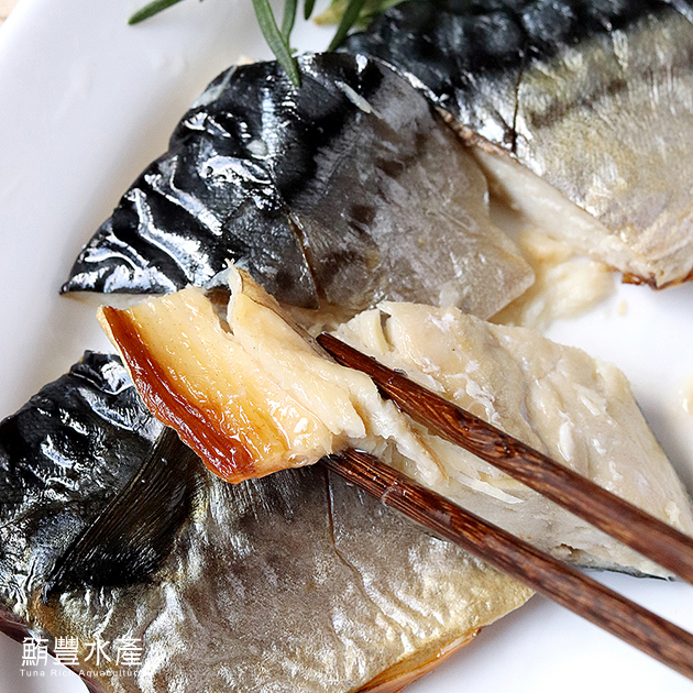 挪威厚脂薄鹽鯖魚 4